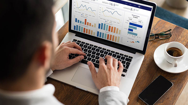 man typing on laptop with visa analytics platform on screen